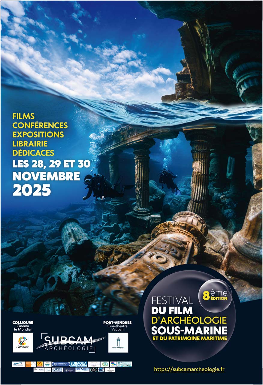 Affiche 311 120x176 HD,